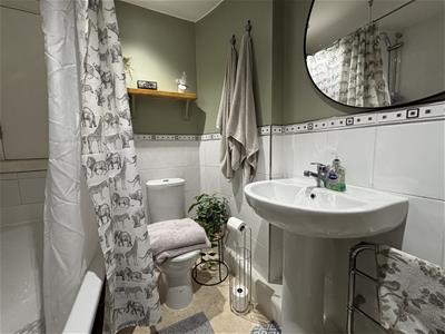 Picture 8